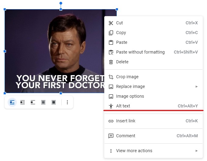 A Google Docs document with an image. The contextual menu is open and the Alt text item is marked.