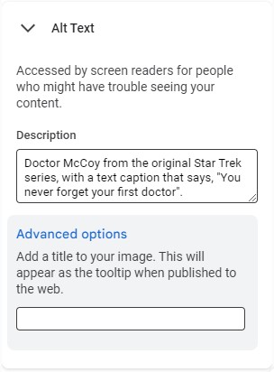 The Google Docs Alt Text pane with text describing the image in the document: Doctor McCoy from the original Star Trek series, with a text caption that says, "You never forget your first doctor". The Advanced Options field is left blank.