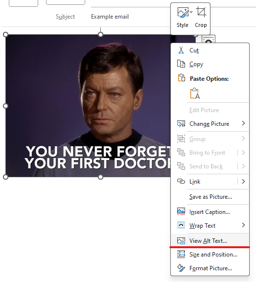 An email message with an image. The contextual menu is open and the View Alt Text item is marked.